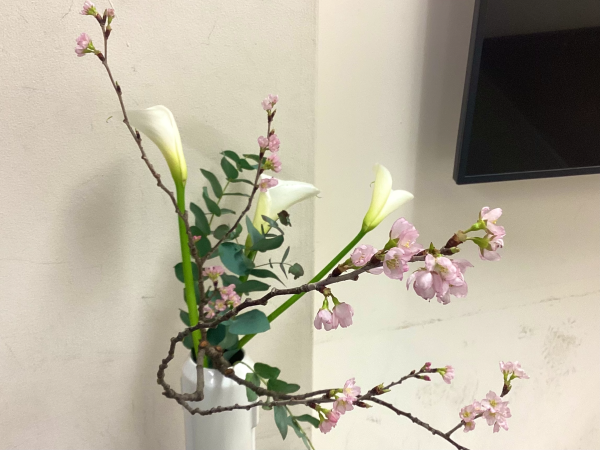 20260207･02高校華道部a6