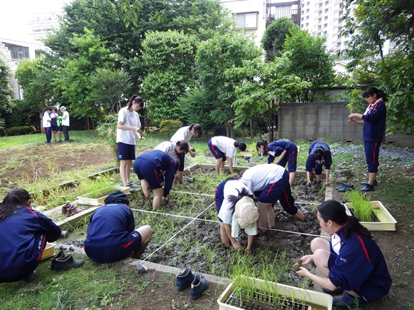 山脇SIクラブ