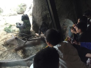 野外探究・上野動物園